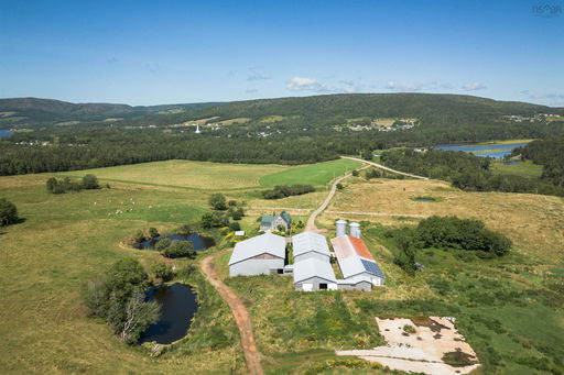 Media Image 3