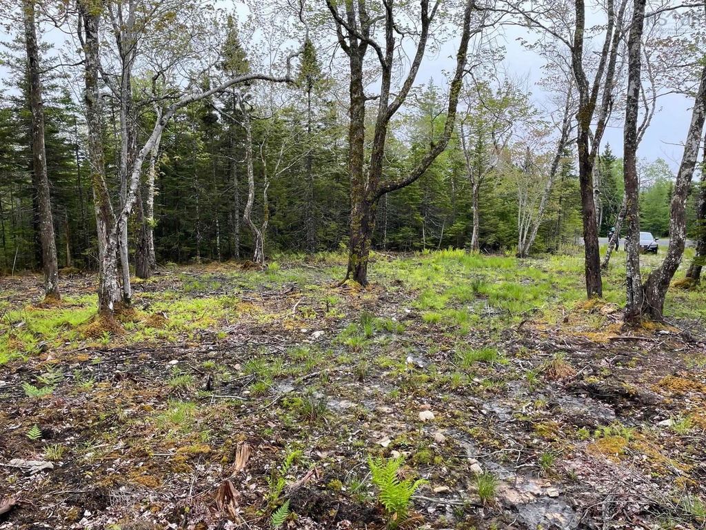 Media Image 1