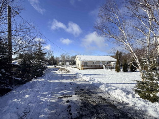 Media Image 3
