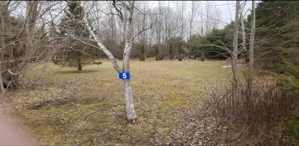 Image Unavailable