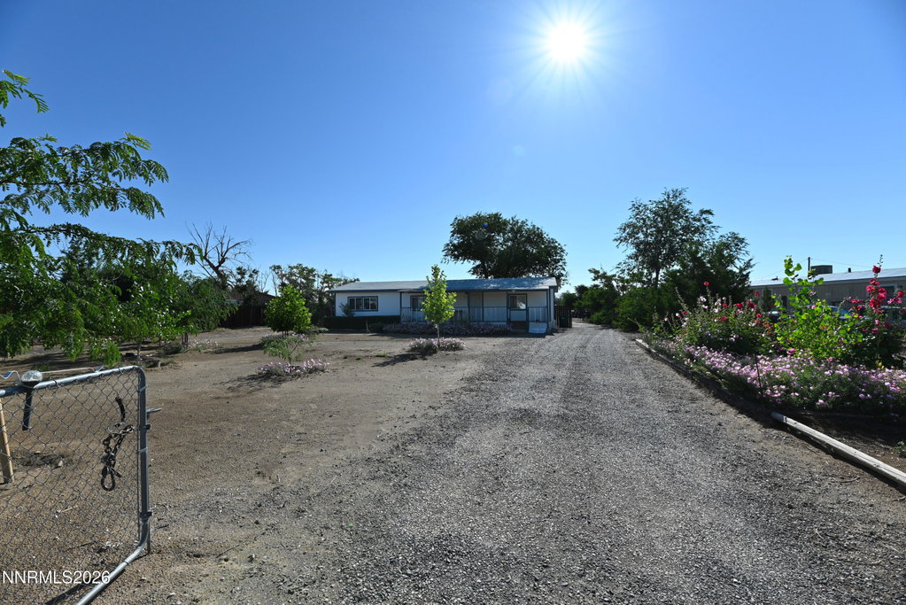 Media Image 1