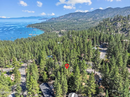 Media Image 3