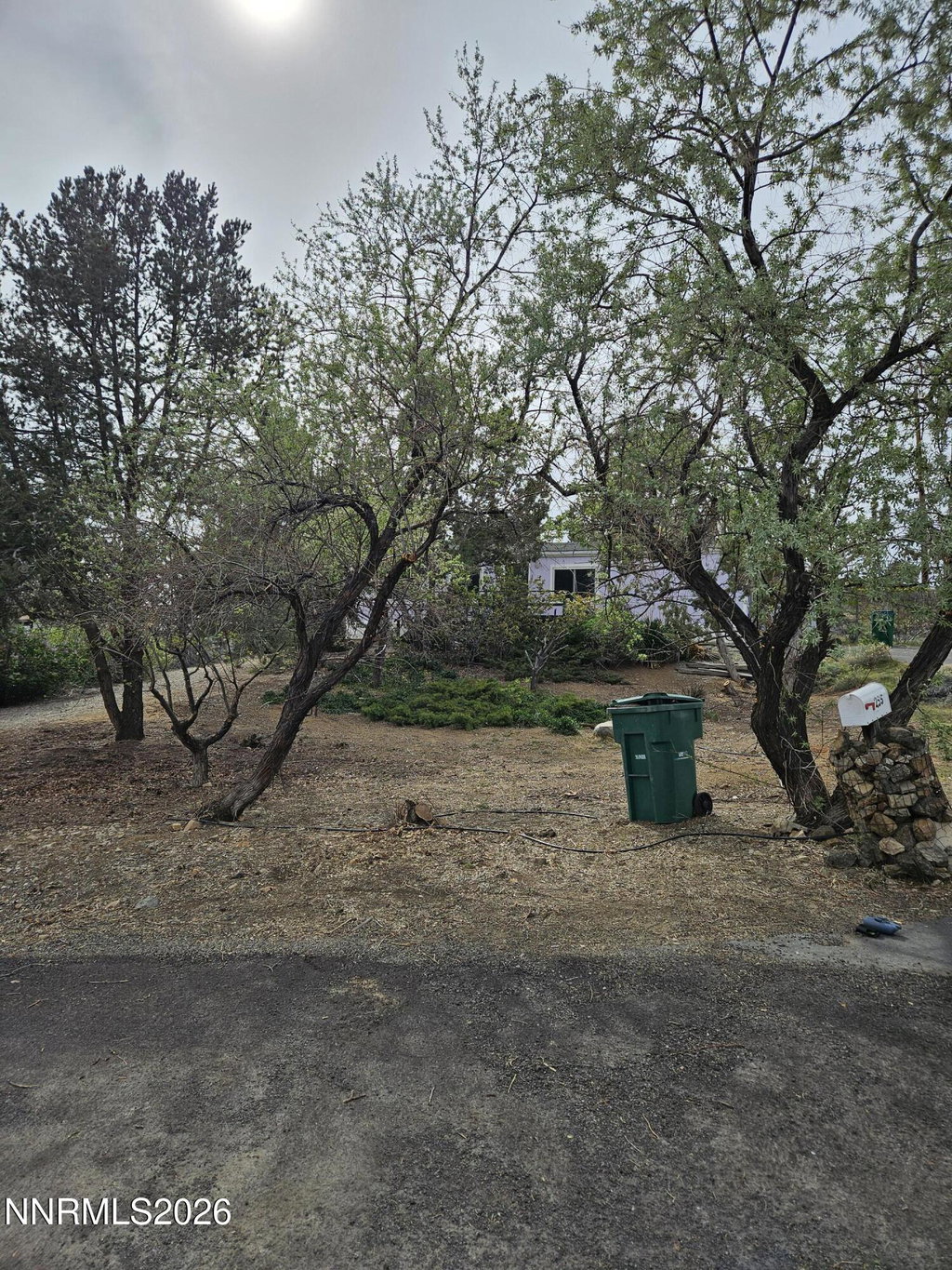 Media Image 1