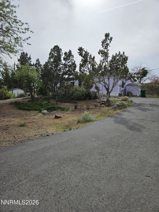 Media Image 2