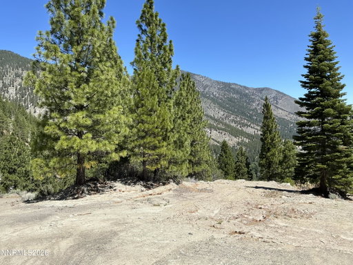 Media Image 2