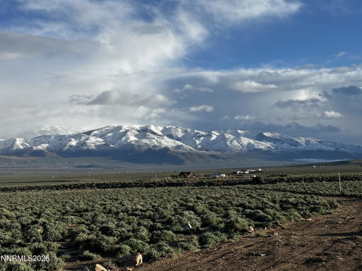 Media Image 3