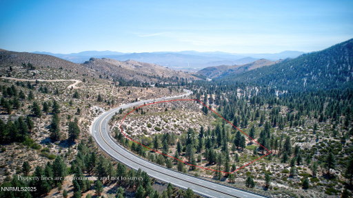 Media Image 3