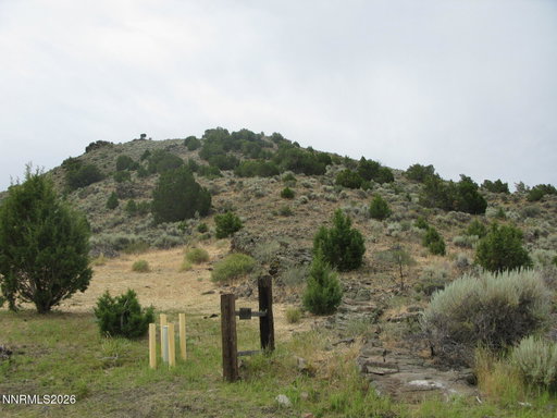 Media Image 2