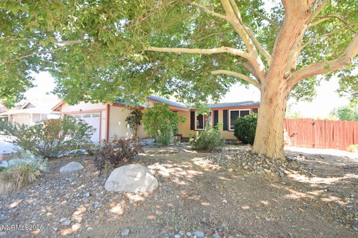 Media Image 3