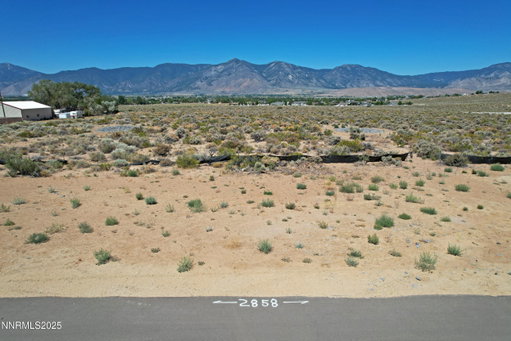 Media Image 3