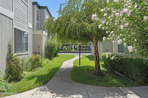 Media Image 3