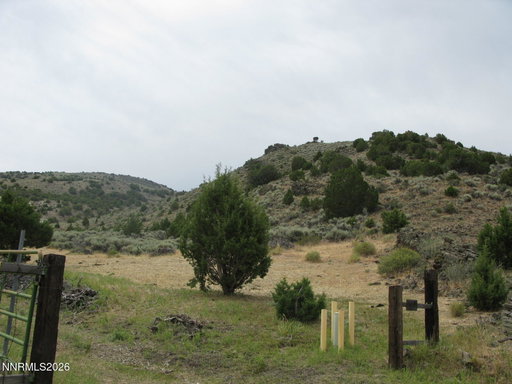 Media Image 3