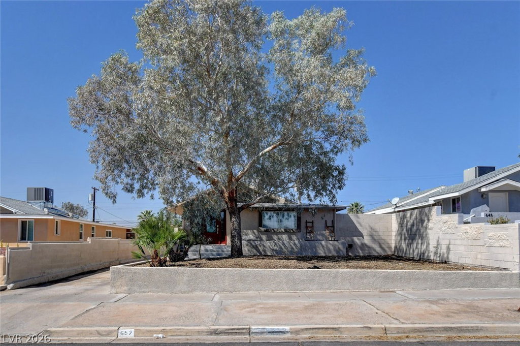 Media Image 1