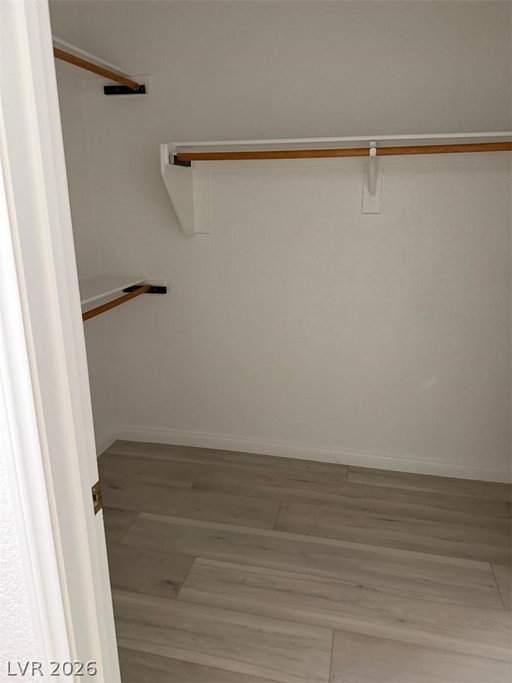 Media Image 3
