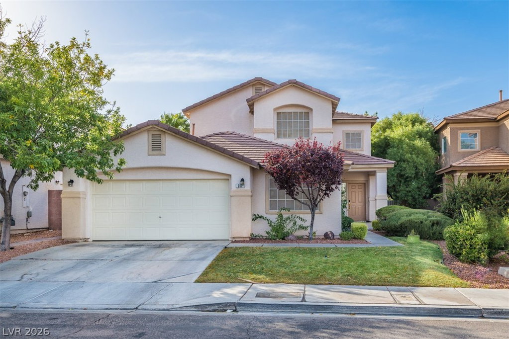 Media Image 1