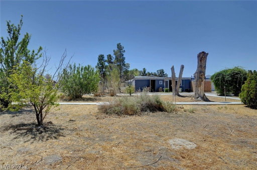Media Image 3