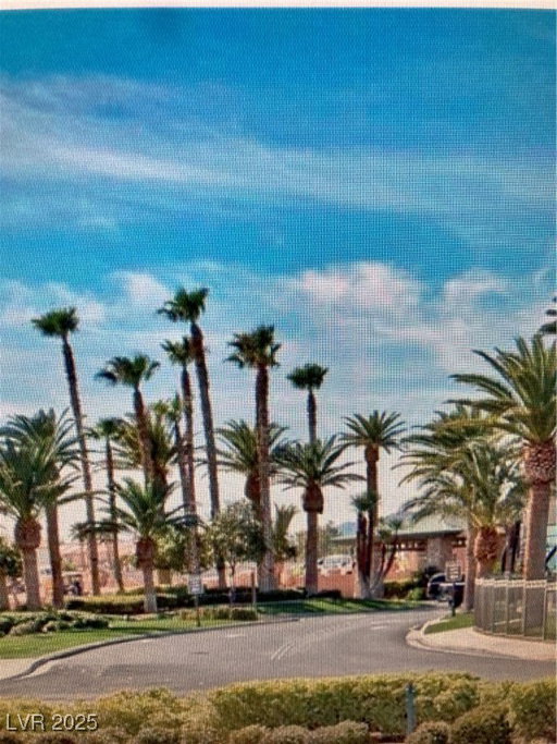 Media Image 3