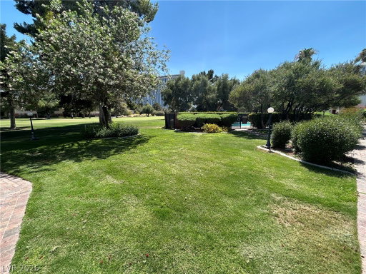 Media Image 3