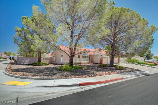 Media Image 2