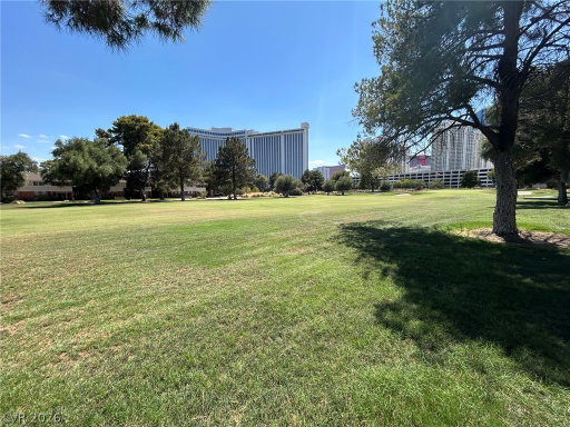 Media Image 2