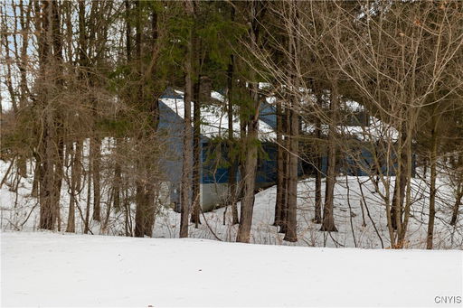 Media Image 3