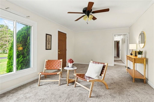 Media Image 3
