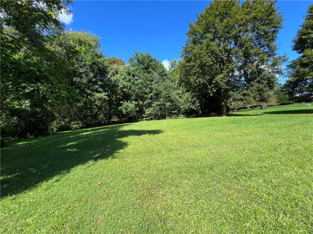 Media Image 1