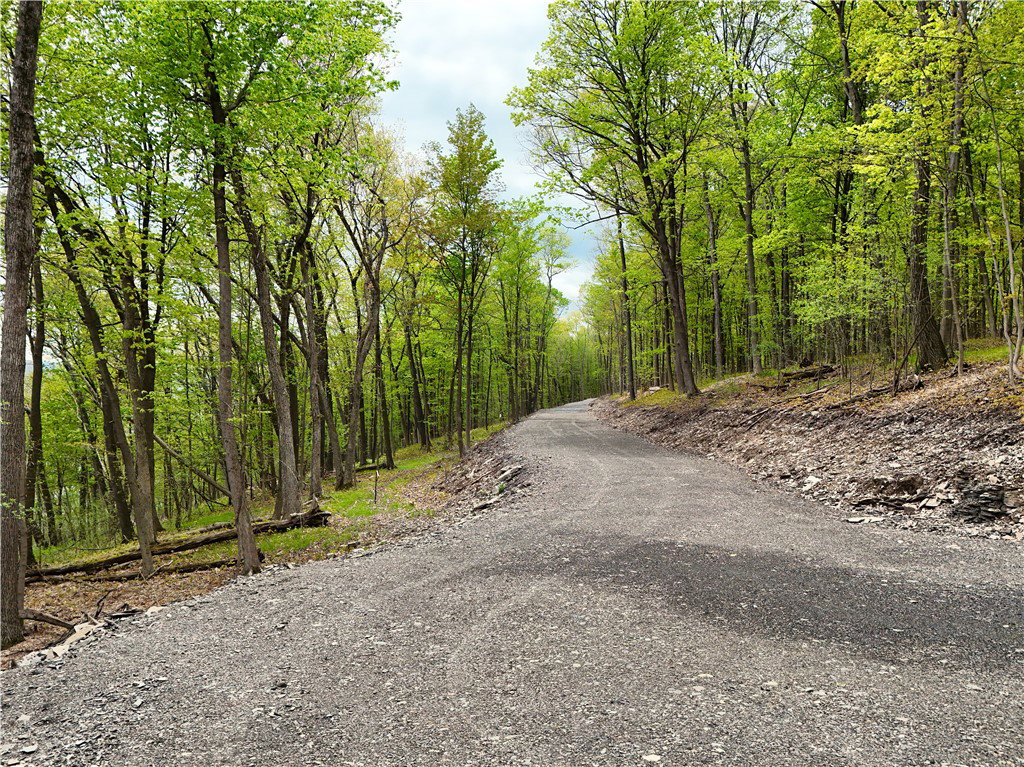 Media Image 1