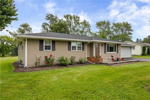 Media Image 2