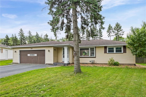 Media Image 3