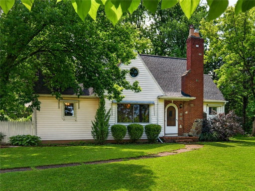 Media Image 2