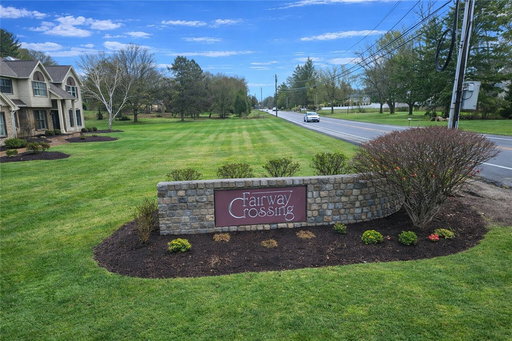 Media Image 3