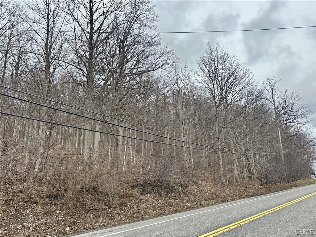 Image Unavailable