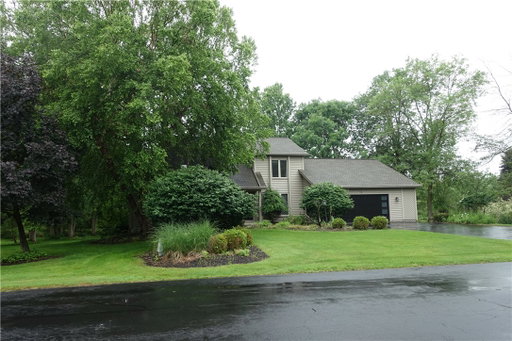 Media Image 2