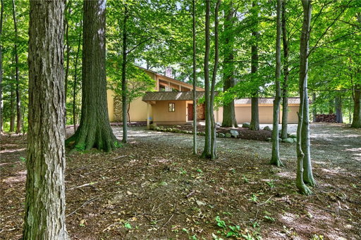Media Image 3