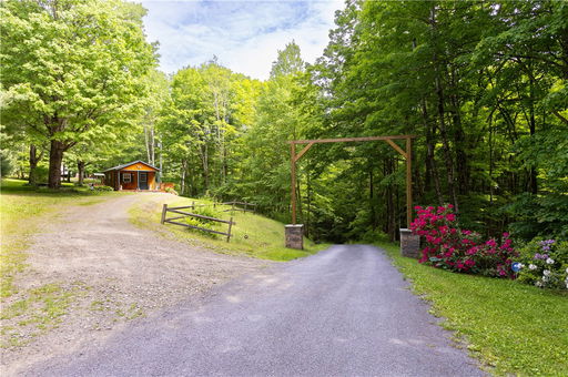 Media Image 2