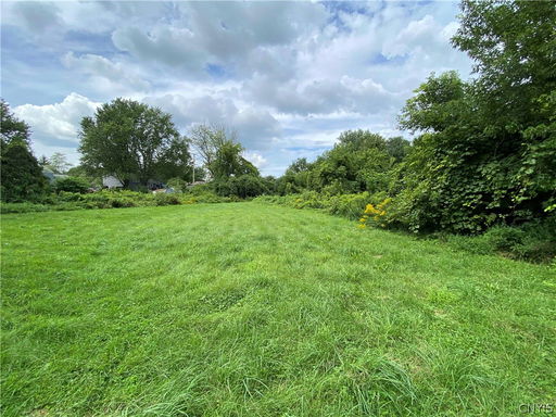 Media Image 3