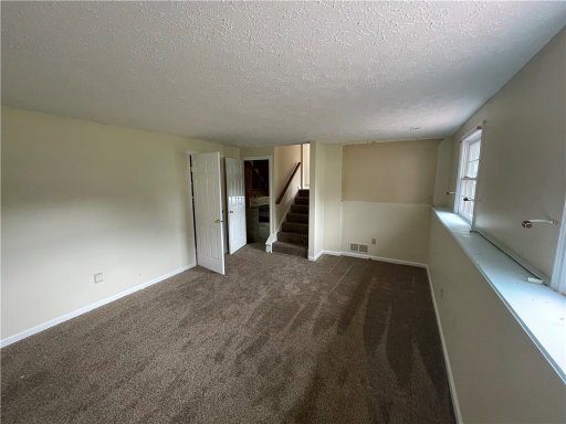 Media Image 3