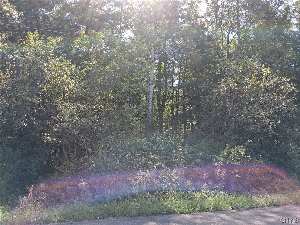 Image Unavailable