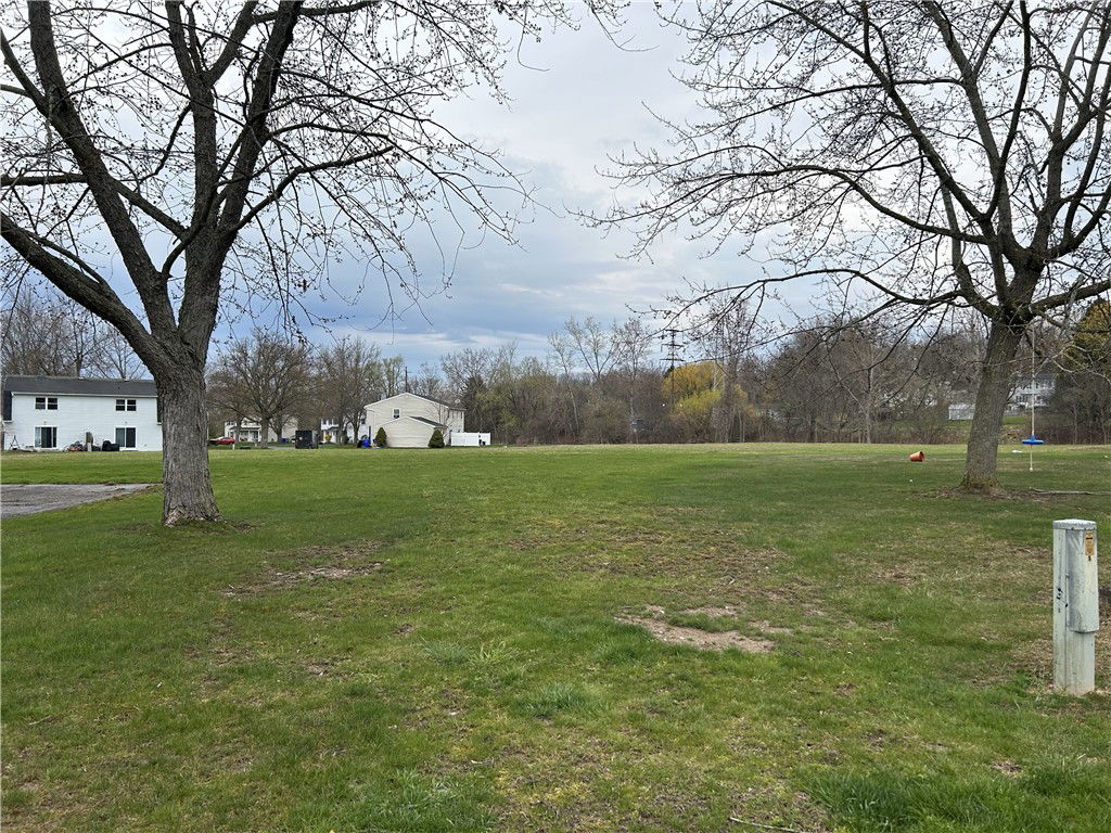 Image Unavailable