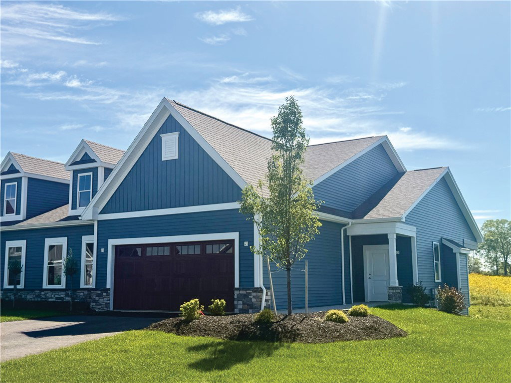 Media Image 1