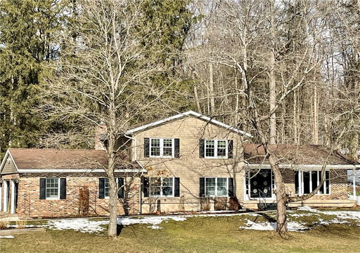 Media Image 2