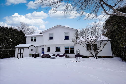 Media Image 3