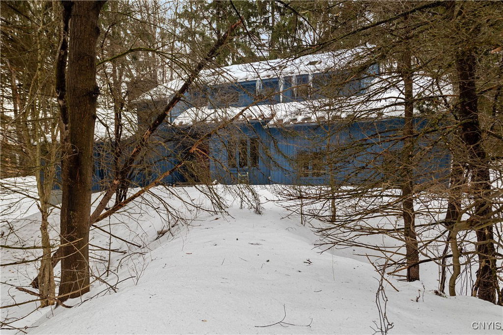 Media Image 1