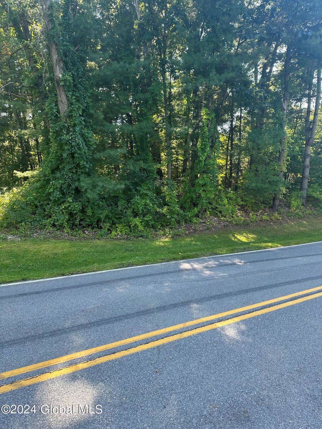 Image Unavailable