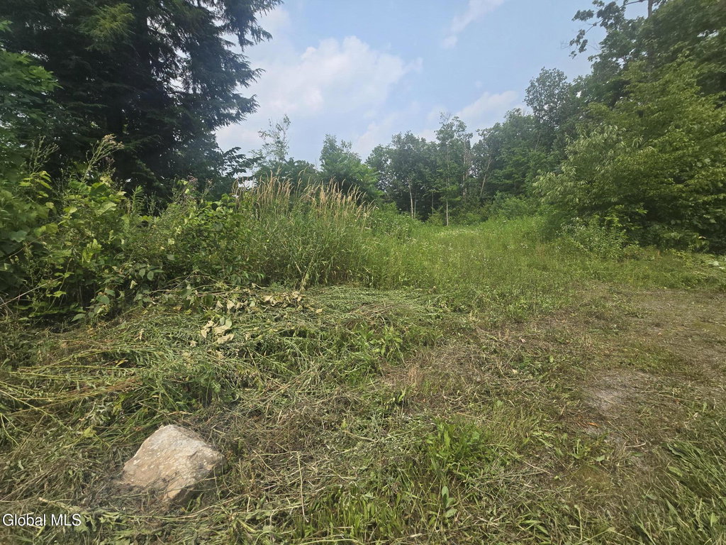 Image Unavailable