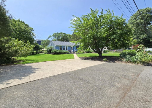 Media Image 2