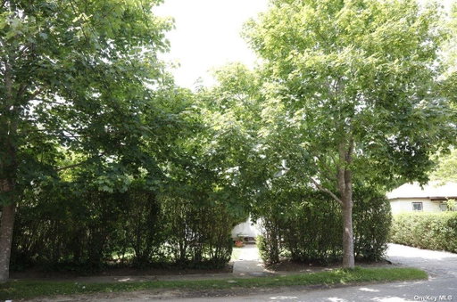 Media Image 3