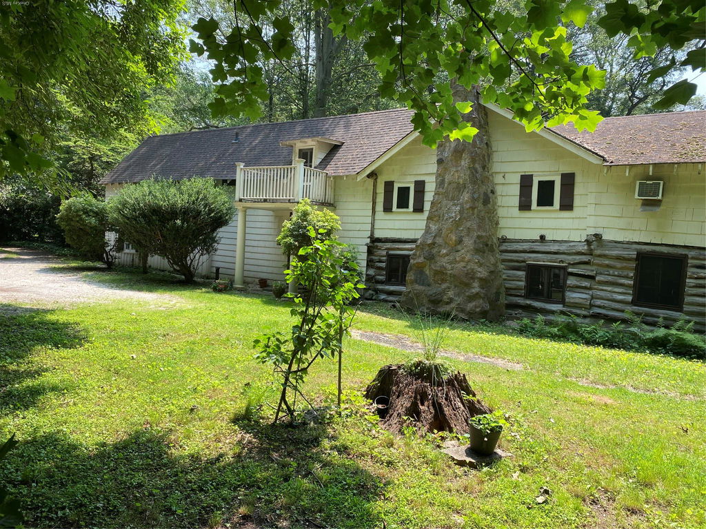Media Image 1