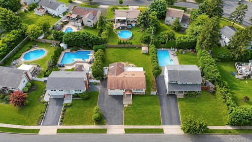 Media Image 2